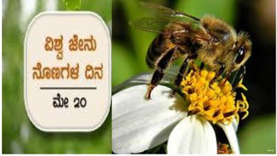 ಮೇ 20 ವಿಶ್ವ ಜೇನು ದುಂಬಿ ದಿನ