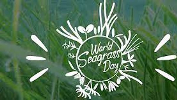 ಮಾರ್ಚ್ 1 ವಿಶ್ವ ಸೀಗ್ರಾಸ್ ದಿನ (seagrass day)