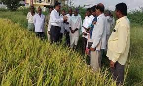 ಕೃಷಿ ಇಲಾಖೆಯಿಂದ ಶೀಘ್ರದಲ್ಲಿಯೇ 300 ಸಹಾಯಕ ಕೃಷಿ ಅಧಿಕಾರಿಗಳ ಹುದ್ದೆಗಳ ನೇಮಕಕ್ಕೆ ಅಧಿಸೂಚನೆ | ಈ ಕುರಿತ ಮಾಹಿತಿ ನಿಮಗಾಗಿ