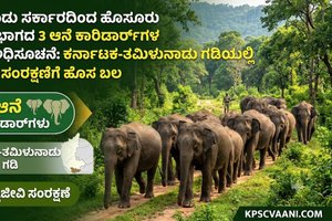 ತಮಿಳುನಾಡು ಸರ್ಕಾರದಿಂದ ಹೊಸೂರು ಅರಣ್ಯ ವಿಭಾಗದ 3 ಆನೆ ಕಾರಿಡಾರ್‌ಗಳ ಅಧಿಕೃತ ಅಧಿಸೂಚನೆ: ಕರ್ನಾಟಕ-ತಮಿಳುನಾಡು ಗಡಿಯಲ್ಲಿ ವನ್ಯಜೀವಿ ಸಂರಕ್ಷಣೆಗೆ ಹೊಸ ಬಲ
