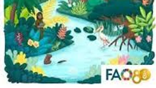 GFRA 2025 ವರದಿ: ಜಾಗತಿಕ ಅರಣ್ಯ ಪ್ರದೇಶದಲ್ಲಿ ಭಾರತಕ್ಕೆ 9ನೇ ಸ್ಥಾನ, ಪರಿಸರ ಸಂರಕ್ಷಣೆಯಲ್ಲಿ ಐತಿಹಾಸಿಕ ಸಾಧನೆ