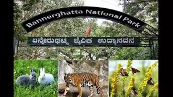 “Adopt an Animal” ಯೋಜನೆ: ಬನ್ನೇರುಘಟ್ಟದಲ್ಲಿ ಹುಲಿ ಮರಿಗಳ ಸಂರಕ್ಷಣೆಗೆ ಖಾಸಗಿ ವಲಯದ ಸಹಭಾಗಿತ್ವ