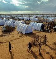 ನಿರಾಶ್ರಿತರ ಮತ್ತು ವಲಸೆ ಮಕ್ಕಳ ನಡುವೆ ಮಾನಸಿಕ ಆರೋಗ್ಯ ಸವಾಲುಗಳು