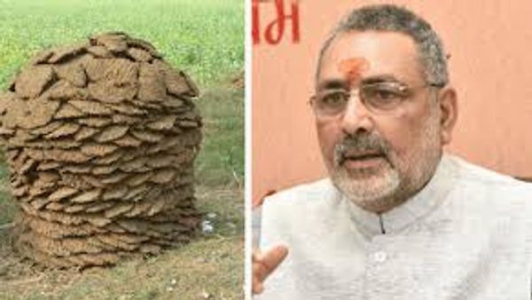 ಹಸು ಸಗಣಿ ಕುರಿತು ಸಂಶೋಧನೆ ಮಾಡಿ: