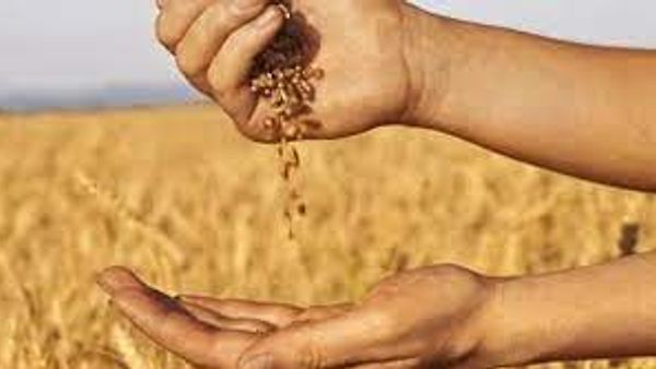 2022 ಜಾಗತಿಕ ಆಹಾರ ಭದ್ರತಾ ಸೂಚ್ಯಂಕ (GFSI) ವರದಿ