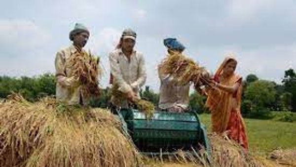 ಛತ್ತೀಸಗಢ ಸರ್ಕಾರವು ಭೂರಹಿತ ಕಾರ್ಮಿಕರಿಗೆ 6,000 ರೂ. ನೀಡಲಿದೆ