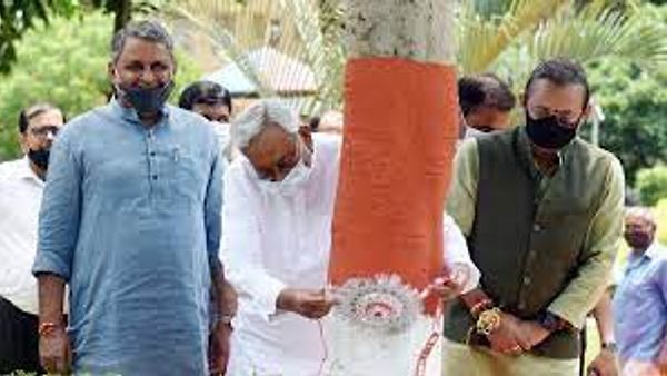 ಬಿಹಾರ ಮುಖ್ಯಮಂತ್ರಿ ವೃಕ್ಷಗಳಿಗೆ ರಾಖಿ ಕಟ್ಟಿ ಪರಿಸರ ಸಂರಕ್ಷಣೆ ಜಾಗೃತಿ ಮೂಡಿಸಿದ್ದಾರೆ