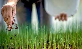 ರಾಜ್ಯದ ಮೊದಲ ಕೃಷಿ ಮ್ಯೂಸಿಯಂ ಉದ್ಘಾಟನೆಗೆ ಸಿದ್ಧ