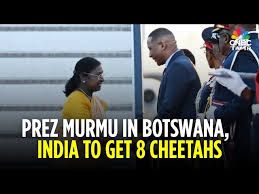 ಭಾರತ–ಬೋಟ್ಸ್‌ವಾನಾ ಸ್ನೇಹದ ಹೊಸ ಅಧ್ಯಾಯ: ರಾಷ್ಟ್ರಪತಿ ಮುರ್ಮು ಅವರ ಪ್ರವಾಸದಲ್ಲಿ ಎಂಟು ಚಿರತೆಗಳ ಉಡುಗೊರೆ
