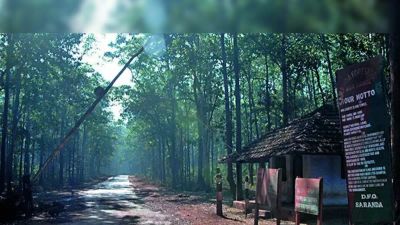 ಸರಂಡಾ ಅರಣ್ಯ: ಭಾರತದ ಹಸಿರು ಹೃದಯ ಮತ್ತು ಅಪರೂಪದ ವನ್ಯಜೀವಿಗಳ ಆಶ್ರಯ