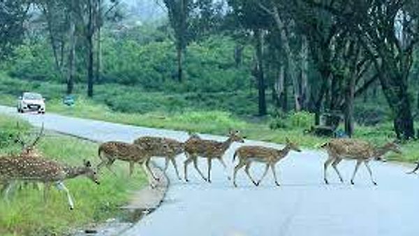 ರಾಜ್ಯದ 6 ಅರಣ್ಯ ಪ್ರದೇಶಗಳು ಸೂಕ್ಷ್ಮ ವಲಯವೆಂದು ಅನುಮೋದನೆ