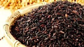ಉತ್ತರ ಪ್ರದೇಶದಲ್ಲಿ ಕಲಾನಮಕ್ ಅಕ್ಕಿ (Kalanamak Rice) ಉತ್ಸವ ಪ್ರಾರಂಭ