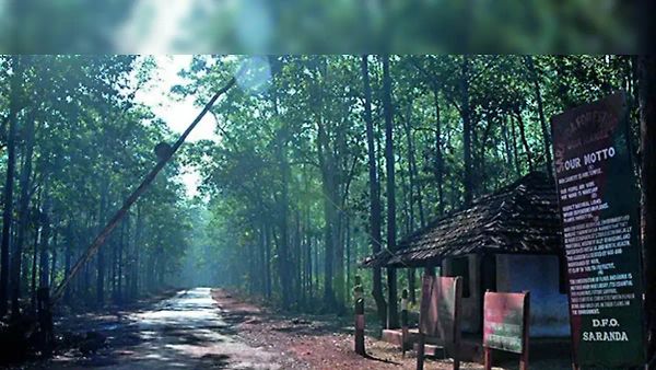 ಸರಂಡಾ ಅರಣ್ಯ: ಭಾರತದ ಹಸಿರು ಹೃದಯ ಮತ್ತು ಅಪರೂಪದ ವನ್ಯಜೀವಿಗಳ ಆಶ್ರಯ