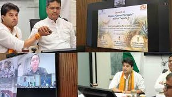 ತ್ರಿಪುರಾದಲ್ಲಿ ₹236 ಕೋಟಿ ವೆಚ್ಚದ 'ಮಿಷನ್ ಕ್ವೀನ್ ಪೈನಾಪಲ್' ಚಾಲನೆ
