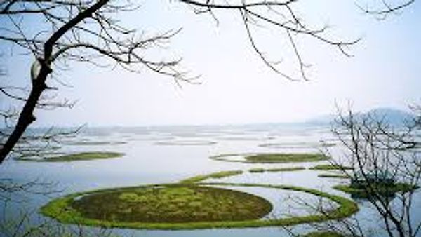 ರಾಮ್ಸರ್ ಜೌಗುಭೂಮಿ ಸಮಾವೇಶ