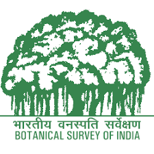 ಅಪರೂಪದ ಆರ್ಕಿಡ್ ಉತ್ತರಾಖಂಡ ರಾಜ್ಯದಲ್ಲಿ ಪತ್ತೆ