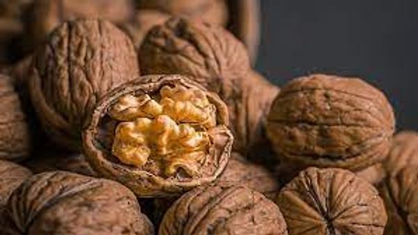 ಕಾಶ್ಮೀರ ವಾಲ್ನಟ್ಸ್ನ(walnuts)ನ ಮೊದಲ ಸರಕು ಫ್ಲ್ಯಾಗ್ ಮಾಡಲಾಗಿದೆ.