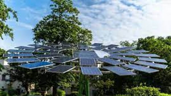 ಸೌರ ಮರ(Solar Tree)