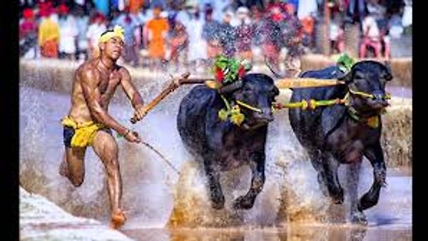 ರಾಜ್ಯ ಪ್ರವಾಸೋದ್ಯಮ ಇಲಾಖೆಯಿಂದ ಕಂಬಳಕ್ಕೆ 1 ಕೋಟಿ ರೂ. ಸಹಾಯಧನ ಬಿಡುಗಡೆ