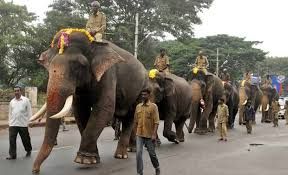 ಮೈಸೂರು ದಸರಾ : ಈ ಬಾರಿ ಅಂಬಾರಿ ಹೊರಲಿರುವ ಆನೆ ಅಭಿಮನ್ಯು