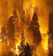 2023 ರ WMO ವಾಯು ಗುಣಮಟ್ಟ ಮತ್ತು ಹವಾಮಾನ