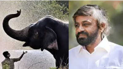 ಆನೆ ಹಾವಳಿ ನಿಯಂತ್ರಣಕ್ಕೆ ಶೀಘ್ರದಲ್ಲಿ 'ಆನೆ ಧಾಮ' ಕಾಮಗಾರಿ ಆರಂಭ