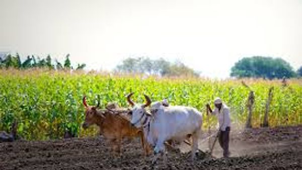 ಹಸಿರು ಕರುನಾಡು ಸರಕಾರದ ಸಂಕಲ್ಪ