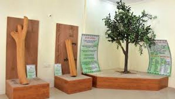 ಸಾಂಸ್ಕೃತಿಕ ನಗರ ಮೈಸೂರಿನಲ್ಲಿ ಶ್ರೀಗಂಧದ ವಸ್ತು ಸಂಗ್ರಹಾಲಯ ಪ್ರಾರಂಭ
