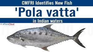 ಕೇರಳ : ಹೊಸ ಸಮುದ್ರ ಪ್ರಭೇದಗಳ ಗುರುತಿಸುವಿಕೆ