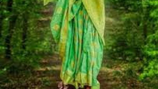🌳 ಸಾಲುಮರದ ತಿಮ್ಮಕ್ಕ — ಕರ್ನಾಟಕದ ಹಸಿರು ಚಳುವಳಿಯ ಜೀವಂತ ದಂತಕಥೆ ನಾಯಕಿ ನಿಧನ