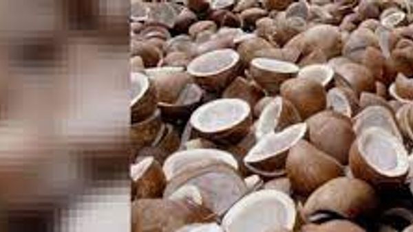 ಕೊಬ್ಬರಿ ಖರೀದಿಗೆ ರಾಜ್ಯ ಸರ್ಕಾರದಿಂದ ನಾಫೆಡ್ ಕೇಂದ್ರ ಸ್ಥಾಪನೆ ಮಾಡಲಿದ್ದಾರೆ