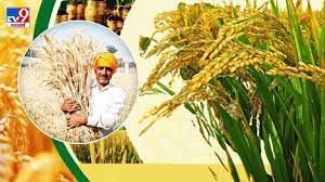 "ಕನಿಷ್ಠ ಬೆಂಬಲ ಬೆಲೆಯ (MSP) ಸಂಜಯ್ ಅಗರ್ವಾಲ್ ಸಮಿತಿ" ಅನ್ನು ರಚಿಸಿದ ಕೇಂದ್ರ