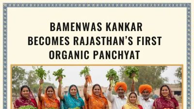 ಬಾಮನ್‌ವಾಸ್ ಕಾಂಕರ್: ರಾಜಸ್ಥಾನದ ಮೊದಲ ಸಂಪೂರ್ಣ ಆರ್ಗ್ಯಾನಿಕ್ ಪಂಚಾಯತ್