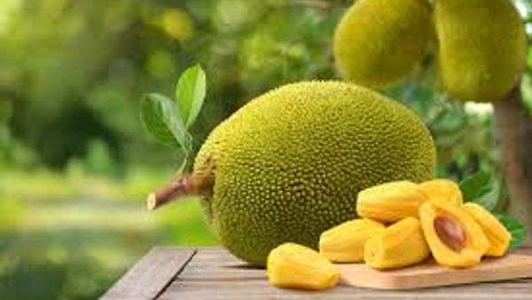 ಜುಲೈ 4 : 'ವಿಶ್ವ ಹಲಸಿನ ದಿನ'