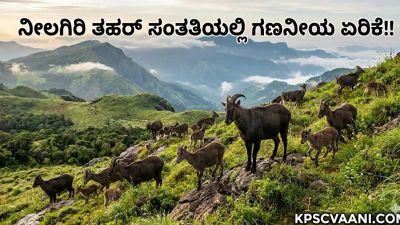 ನೀಲಗಿರಿ ತಹರ್ ಸಂತತಿಯಲ್ಲಿ ಗಣನೀಯ ಏರಿಕೆ!
