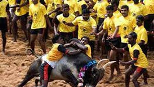 'ಜಲ್ಲಿಕಟ್ಟು' ಆಚರಣೆಗೆ ಗ್ರೀನ್‌ ಸಿಗ್ನಿಲ್‌ ನೀಡಿದ ತಮಿಳುನಾಡು ಸರ್ಕಾರ