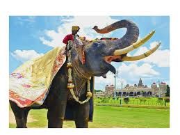 ಅಭಿಮನ್ಯುವಿಗೆ ಮತ್ತೊಮ್ಮೆ ಅಂಬಾರಿ ಹೊರುವ ಹೊಣೆ