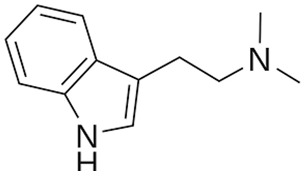 ಡೈಮಿಥೈಲ್ಟ್ರಿಪ್ಟಮೈನ್ : ಭ್ರಮೆಕಾರಕ ಔಷಧ