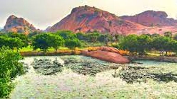 ತಮಿಳುನಾಡಿನ ಮೊದಲ ಜೀವವೈವಿಧ್ಯ ಪರಂಪರೆಯ ತಾಣ