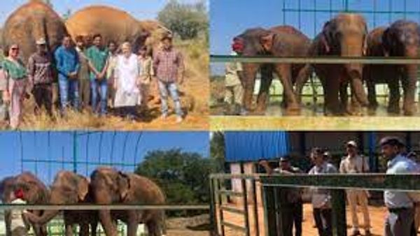 ಕೋಲಾರದಲ್ಲಿ ರಾಜ್ಯದ ಮೊದಲ ಎಲಿಫೆಂಟ್ ಆರೈಕೆ ಕೇಂದ್ರ