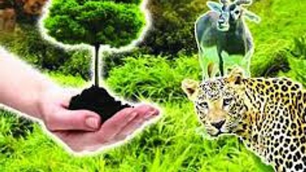 🌍 ವಿಶ್ವದ ಅತಿದೊಡ್ಡ ವನ್ಯಜೀವಿ ಸಮೀಕ್ಷೆ: ಜೈವ ವೈವಿಧ್ಯ ಸಂರಕ್ಷಣೆಯ ಮಹತ್ತರ ಹೆಜ್ಜೆ