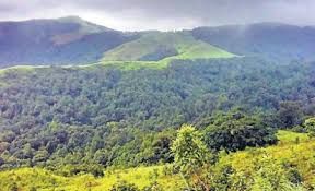ಕಸ್ತೂರಿರಂಗನ್ ವರದಿ ಜಾರಿಗೆ ರಾಷ್ಟ್ರೀಯ ಹಸಿರು ನ್ಯಾಯಾಧೀಕರಣ ಆದೇಶ