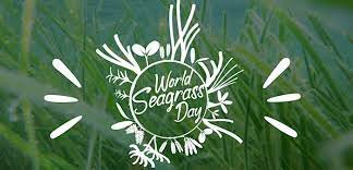 ಮಾರ್ಚ್ 1 ವಿಶ್ವ ಸೀಗ್ರಾಸ್ ದಿನ (seagrass day)