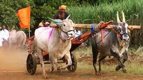 ಪಂಚಾಯತ್ ರಾಜ ಇಲಾಖೆ ಮತ್ತು ಕ್ರೀಡಾ ಇಲಾಖೆಯಿಂದ ಗ್ರಾಮೀಣ ಕ್ರೀಡೆಗಳಿಗೆ ಉತ್ತೇಜನ