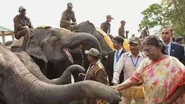 ಭಾರತದ ರಾಷ್ಟ್ರಪತಿ ದ್ರೌಪದಿ ಮುರ್ಮು ರವರಿಂದ ಗಜ್ ಉತ್ಸವ ಉದ್ಘಾಟನೆ