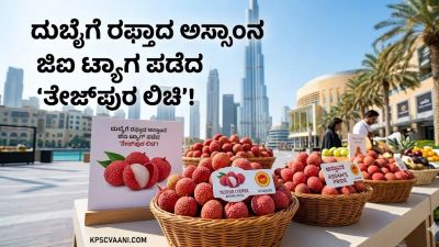 ದುಬೈಗೆ ರಫ್ತಾದ ಅಸ್ಸಾಂನ ಜಿಐ ಟ್ಯಾಗ್ ಪಡೆದ 'ತೇಜ್‌ಪುರ ಲಿಚಿ'!