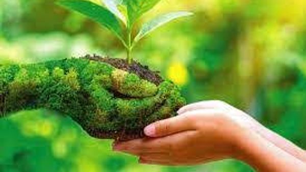 ನೇಚರ್ ಇಂಡೆಕ್ಸ್ 2022 ರ ಮುಖ್ಯಾಂಶಗಳು