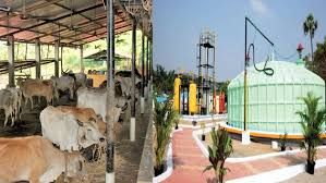 ಗ್ವಾಲಿಯರ್ ಅತ್ಯಾಧುನಿಕ CBG ಪ್ಲಾಂಟ್‌ನೊಂದಿಗೆ ಭಾರತದ ಮೊದಲ ಸ್ವಾವಲಂಬಿ ಗೌಶಾಲಾ ಅನಾವರಣ