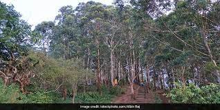 "ಭಾರತದಲ್ಲಿ ಅರಣ್ಯಗಳ ಹೊರಗೆ ಮರಗಳು" (TOFI) ಕಾರ್ಯಕ್ರಮ