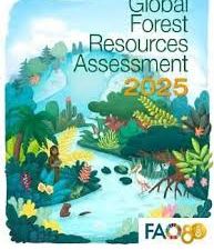 GFRA 2025 ವರದಿ: ಜಾಗತಿಕ ಅರಣ್ಯ ಪ್ರದೇಶದಲ್ಲಿ ಭಾರತಕ್ಕೆ 9ನೇ ಸ್ಥಾನ, ಪರಿಸರ ಸಂರಕ್ಷಣೆಯಲ್ಲಿ ಐತಿಹಾಸಿಕ ಸಾಧನೆ